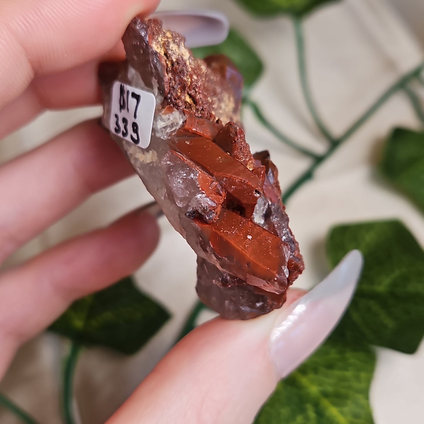 Hematoid quartz cluster
