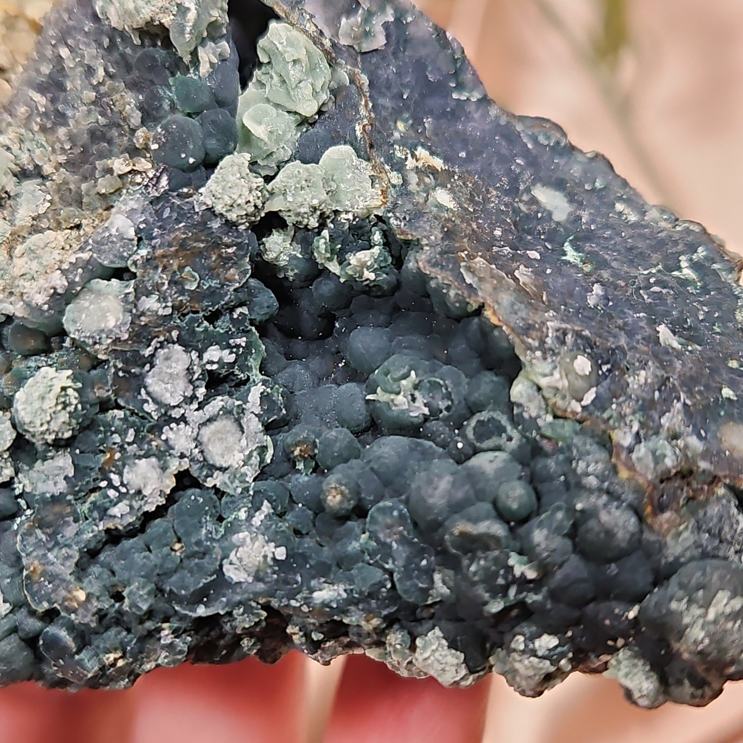 Grape agate 41