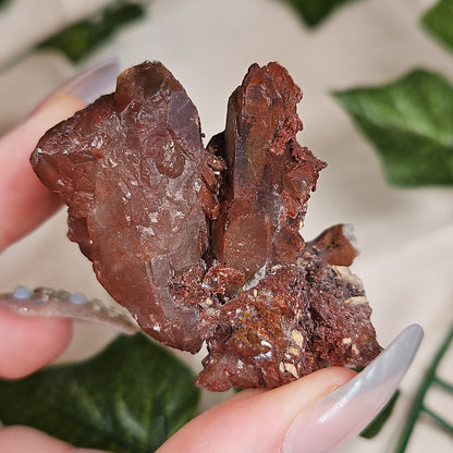 Hematoid quartz cluster
