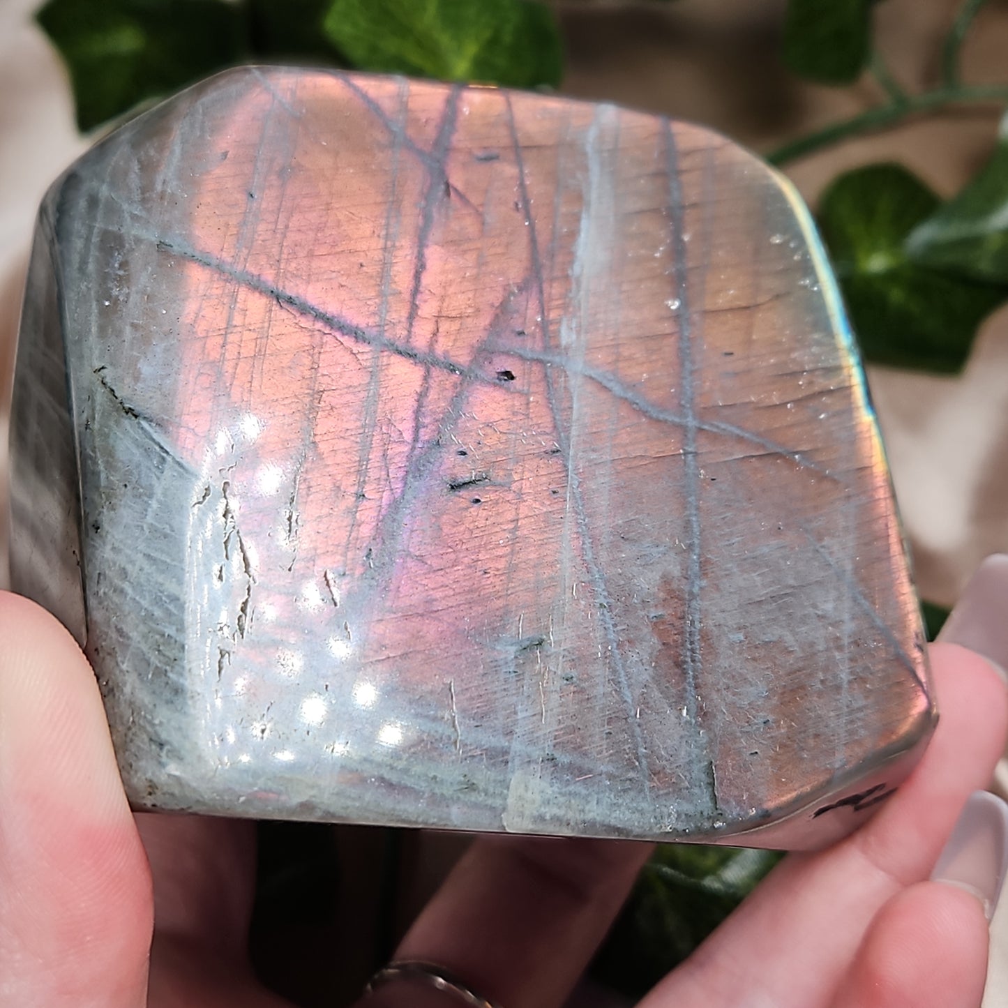 Labradorite freeform