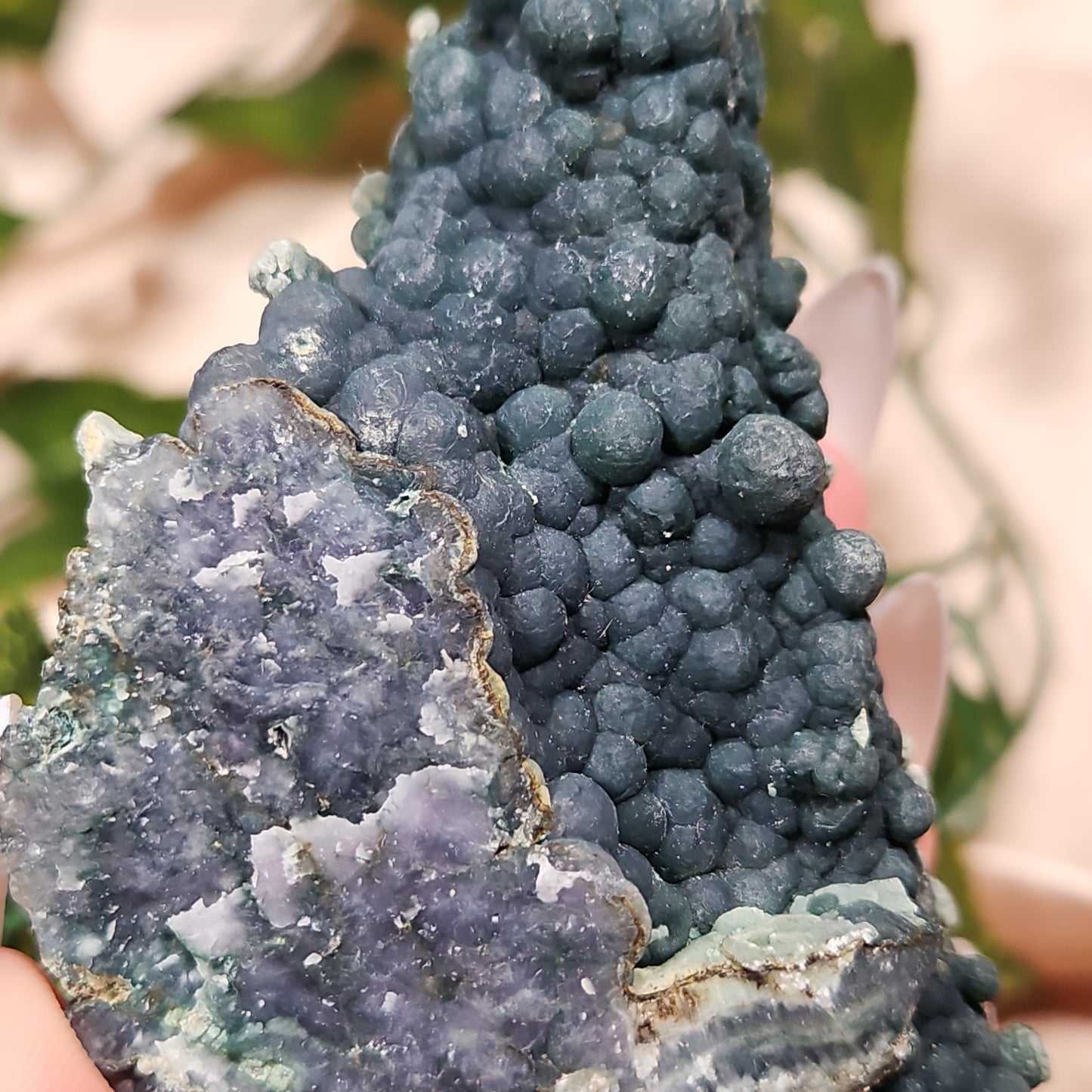 Grape agate 41