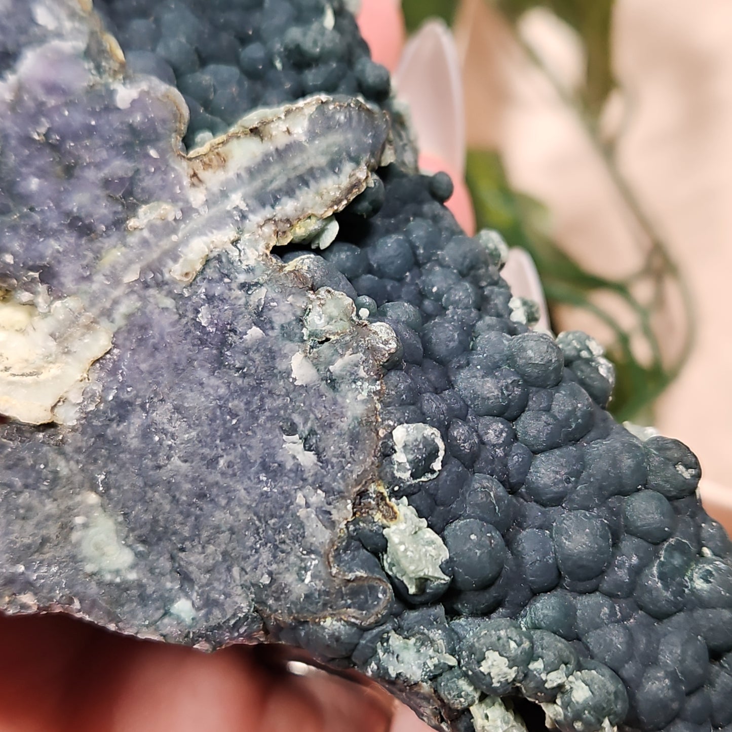 Grape agate 41