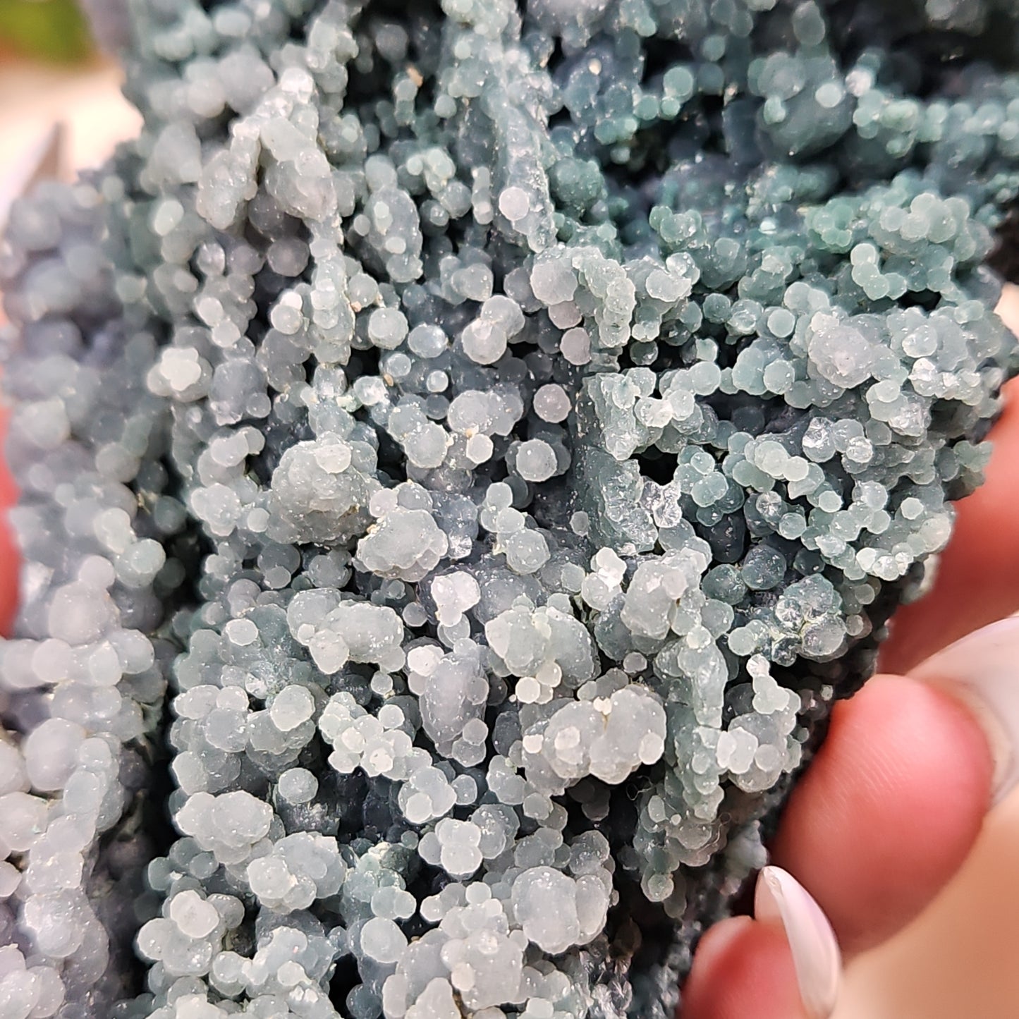 Grape agate 84