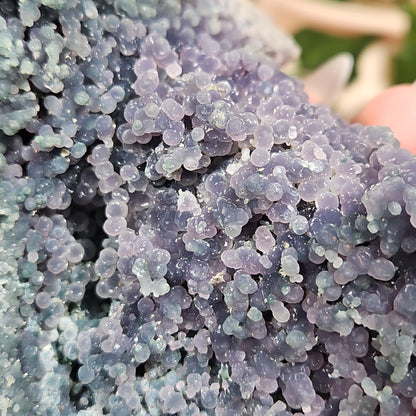 Grape agate 102
