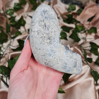 Celestite cluster
