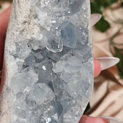 Celestite cluster