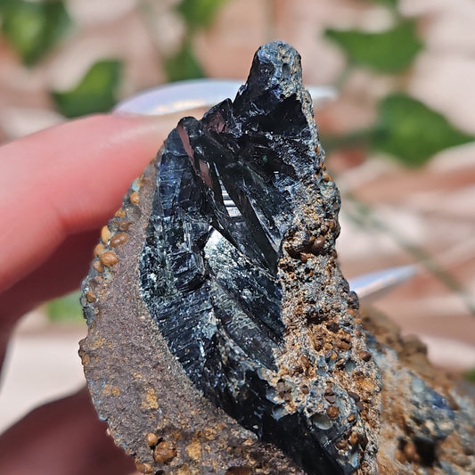 Vivianite specimen