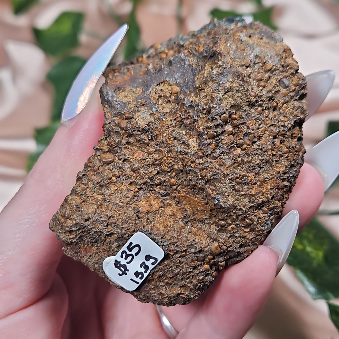 Vivianite specimen