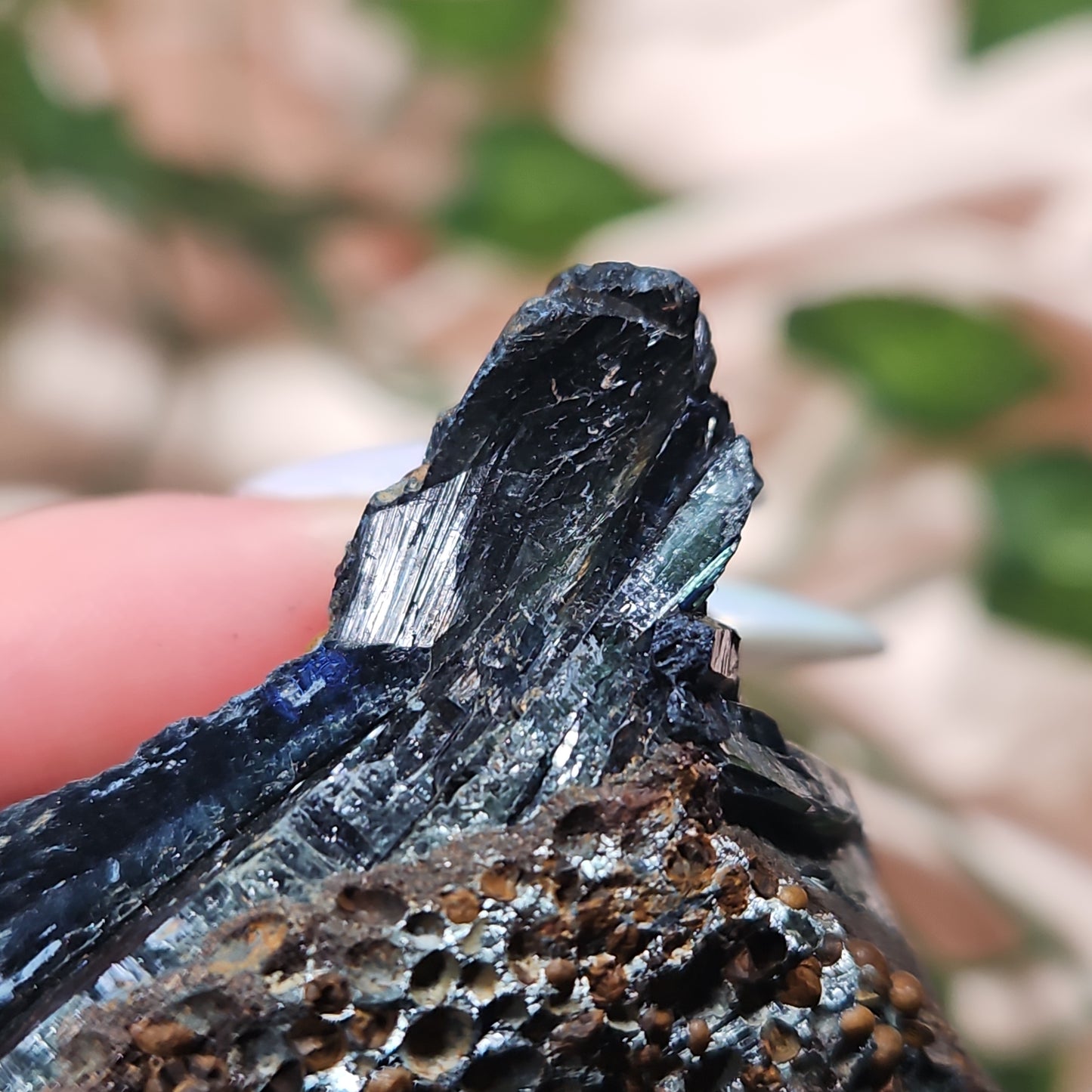 Vivianite specimen