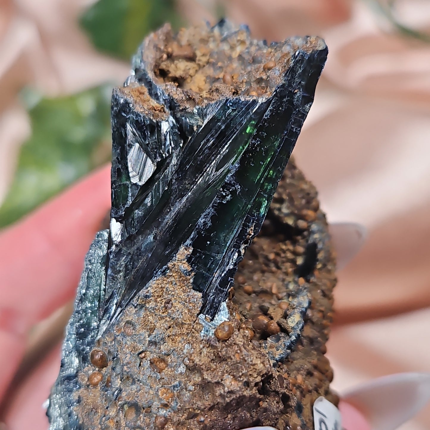 Vivianite specimen