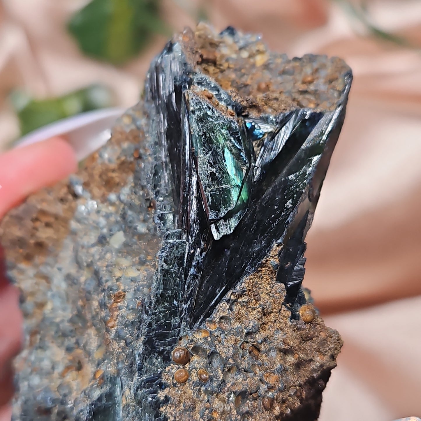 Vivianite specimen