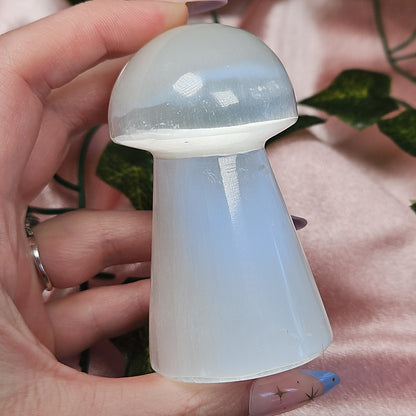 Selenite mushroom