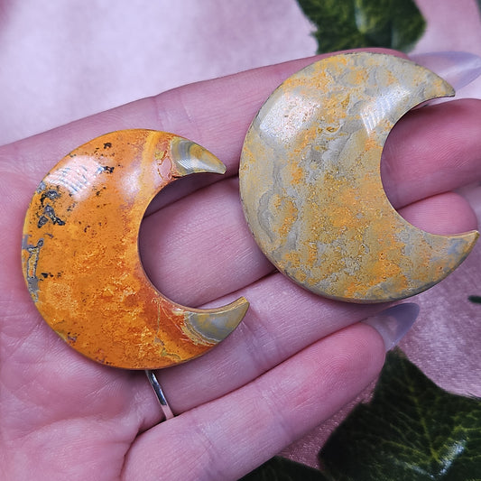 Bumblebee jasper moon