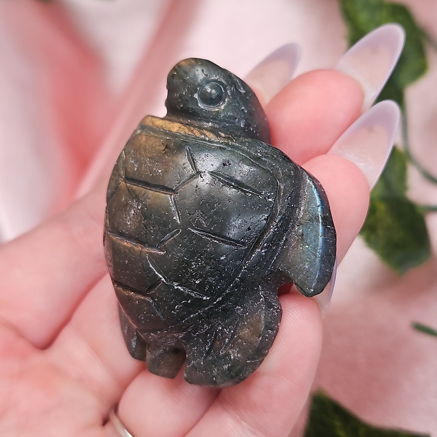 Labradorite sea turtle