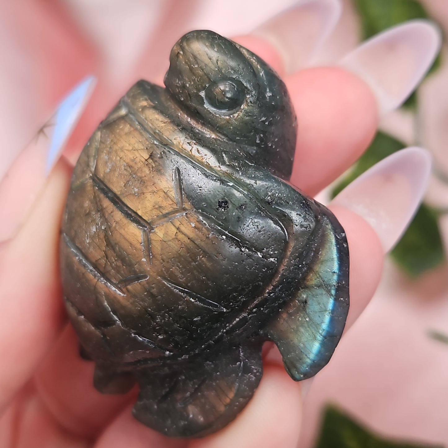 Labradorite sea turtle