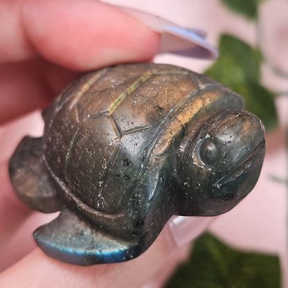 Labradorite sea turtle
