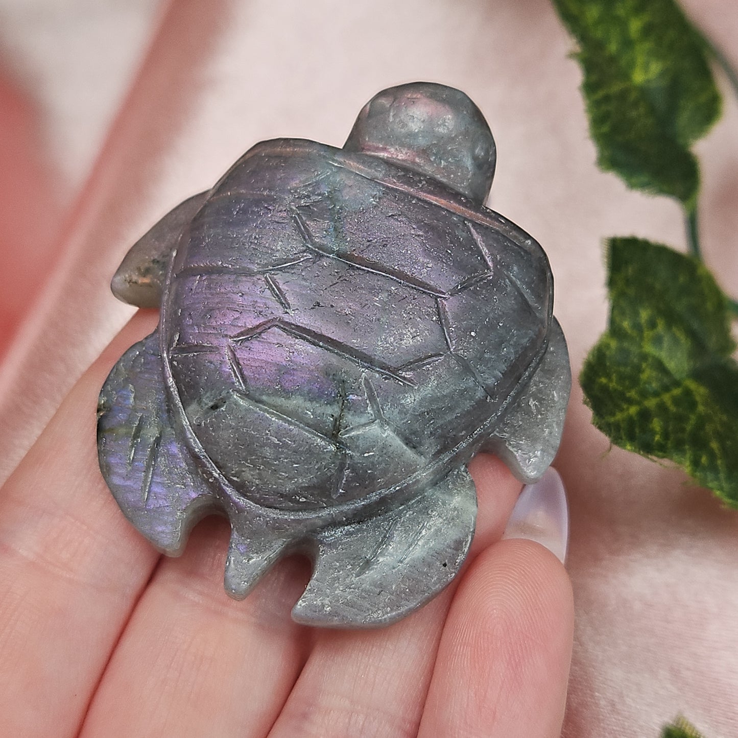 Labradorite sea turtle