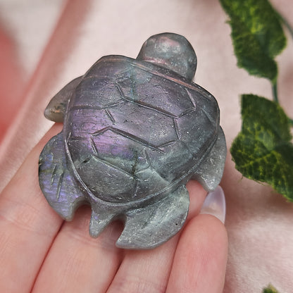 Labradorite sea turtle