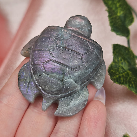 Labradorite sea turtle
