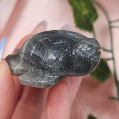 Labradorite sea turtle