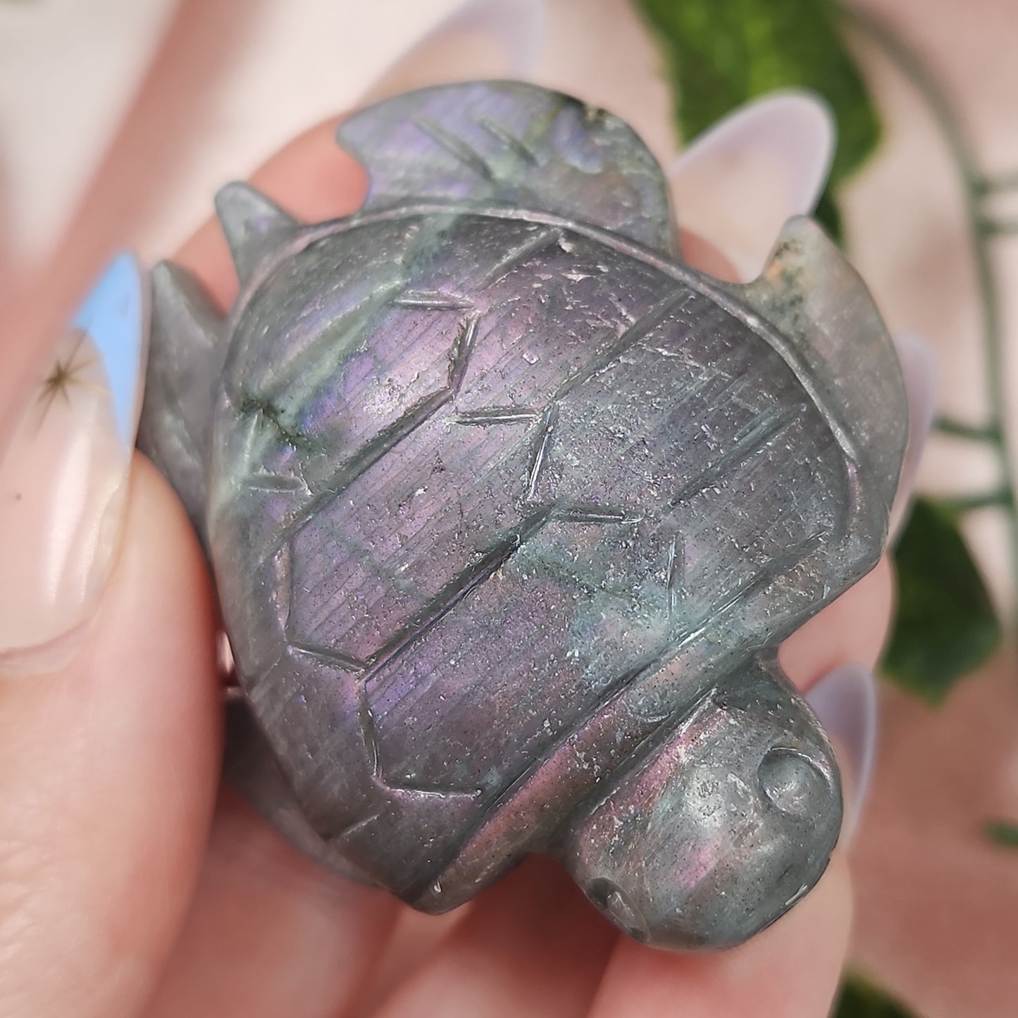 Labradorite sea turtle