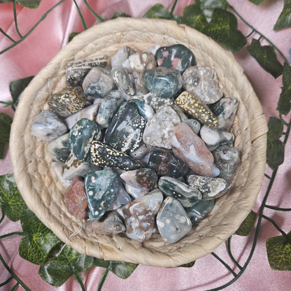 Ocean jasper tumbles