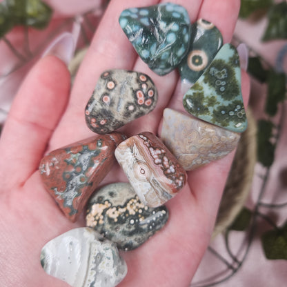 Ocean jasper tumbles