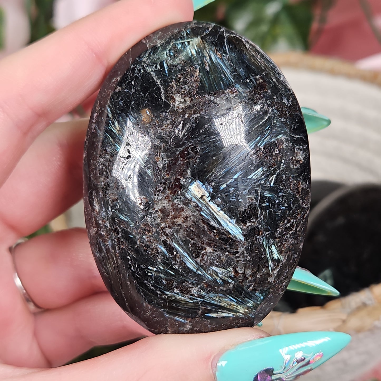 Astrophylite palmstone