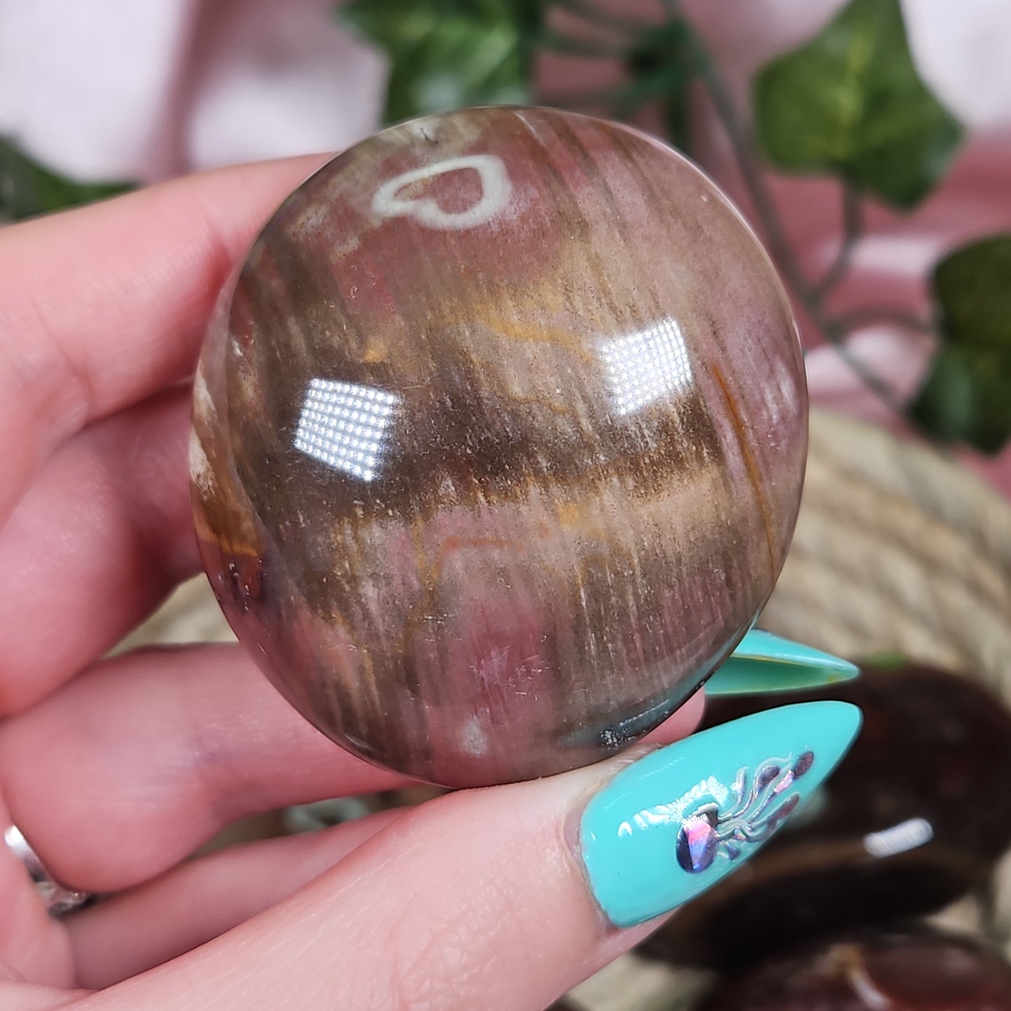 Petrified wood palmstone