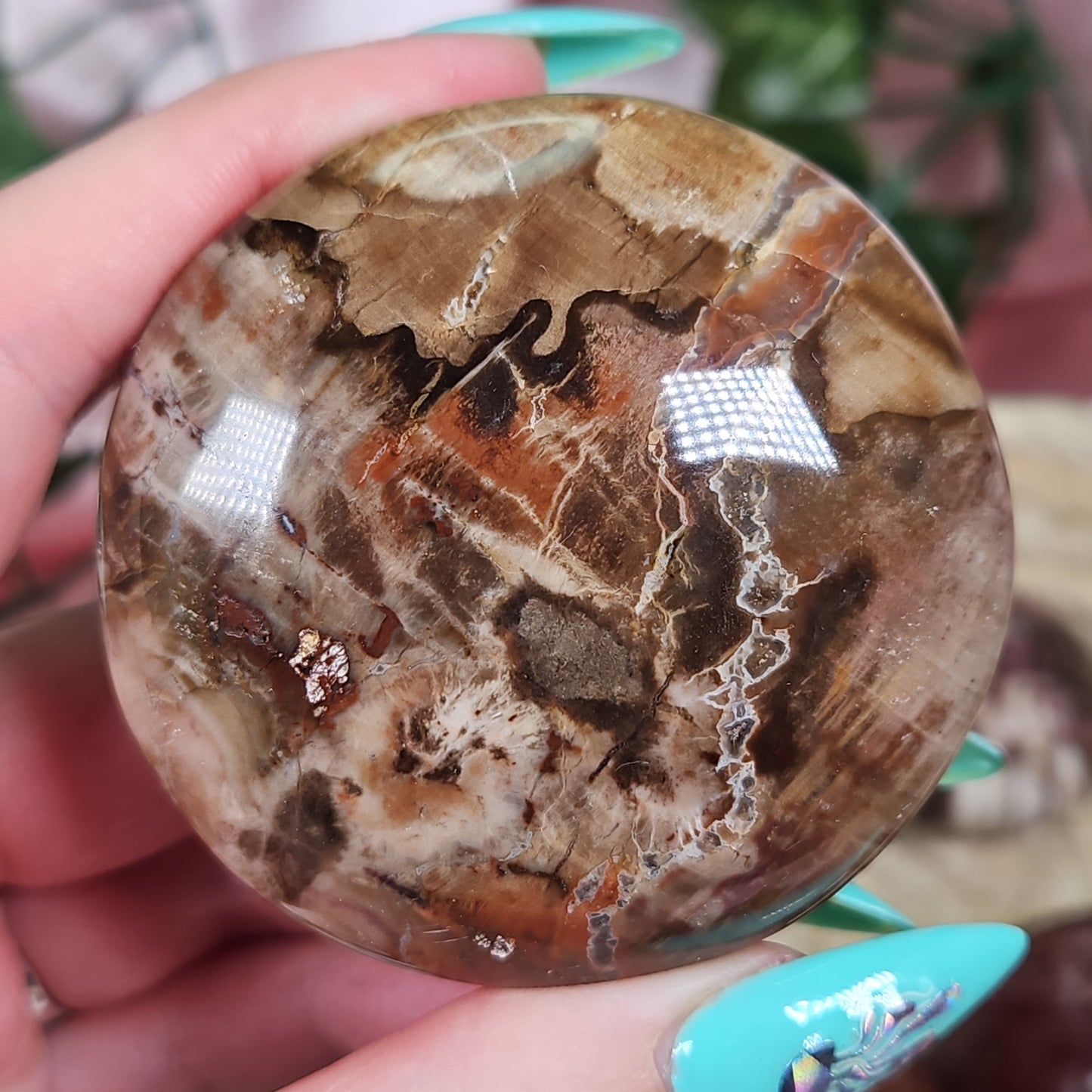 Petrified wood palmstone