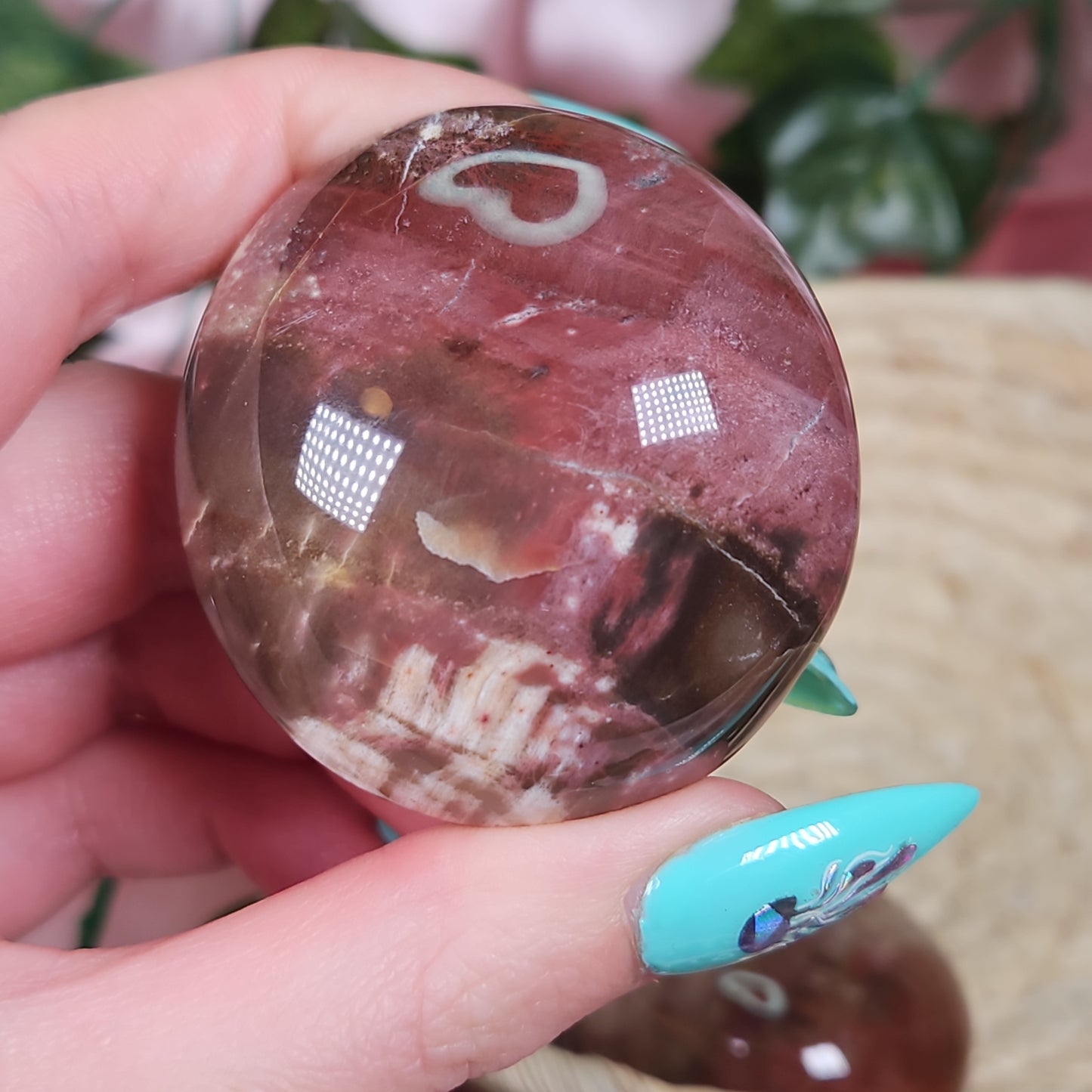 Petrified wood palmstone