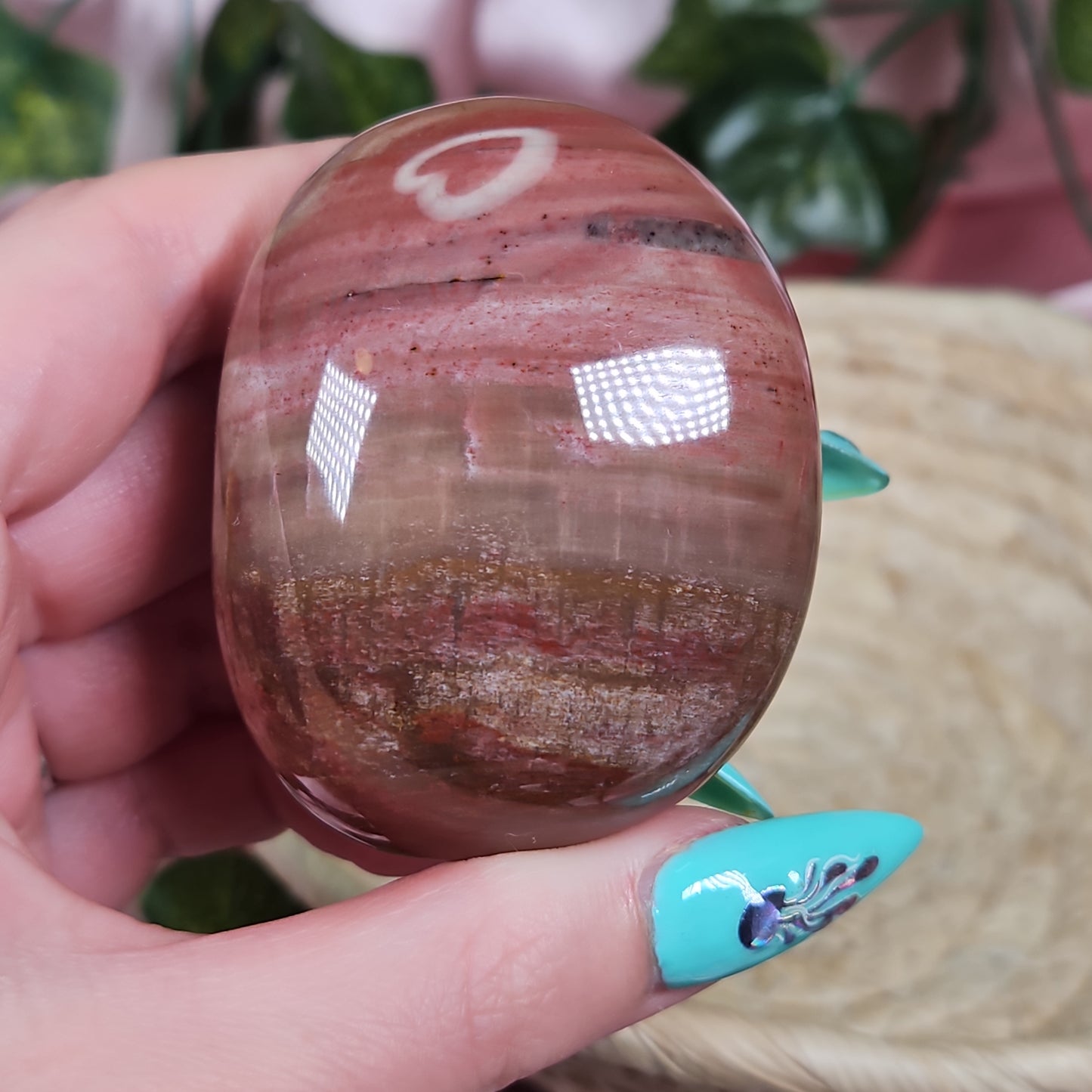 Petrified wood palmstone