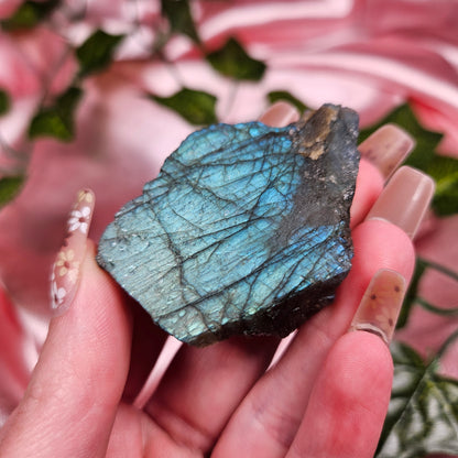 Labradorite half polish (choose your own)
