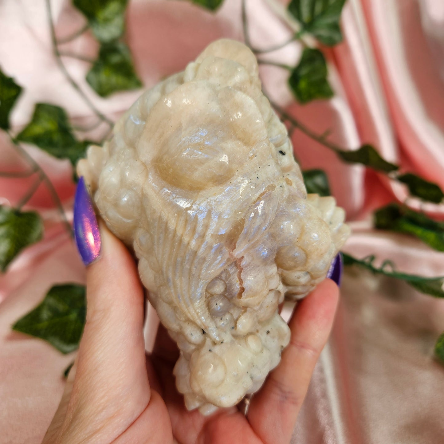 Moonstone money toad