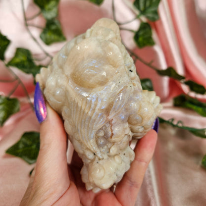 Moonstone money toad