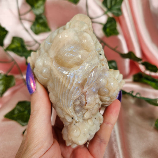 Moonstone money toad