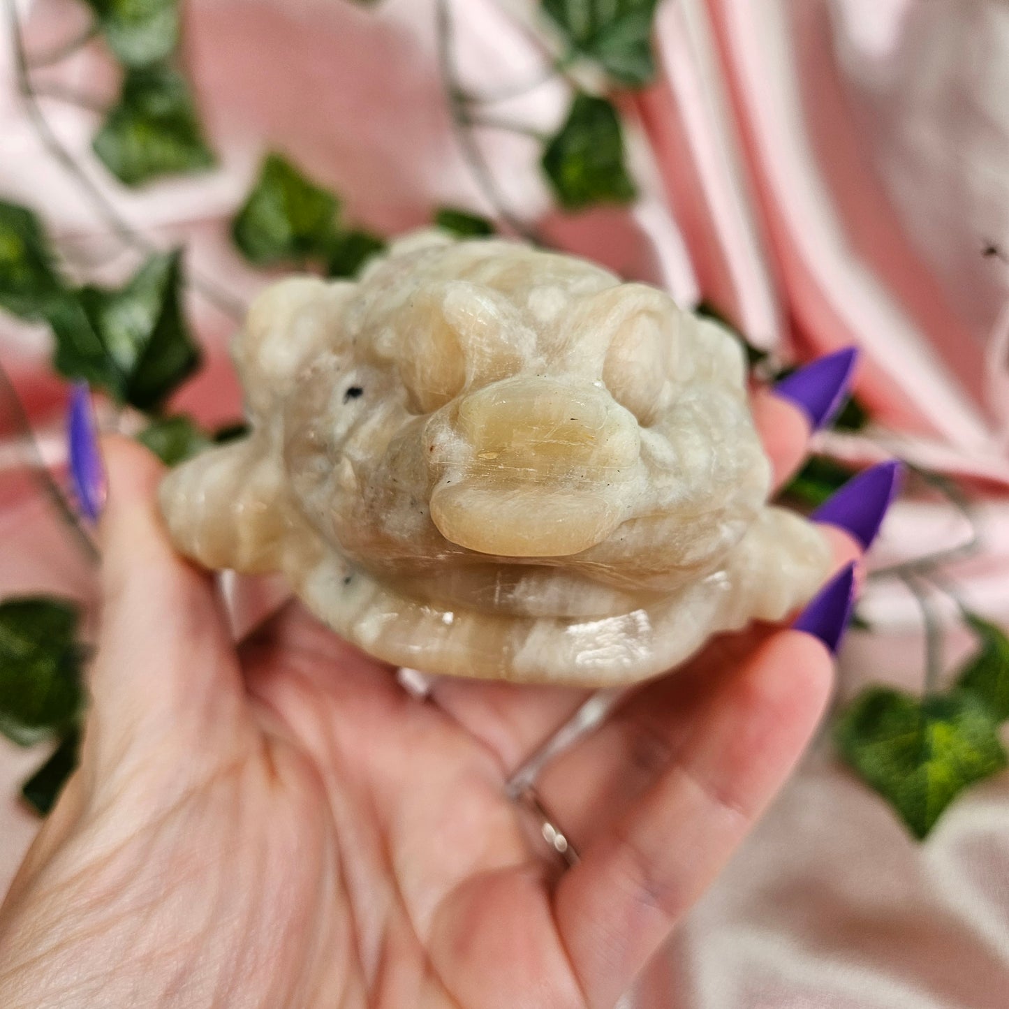 Moonstone money toad