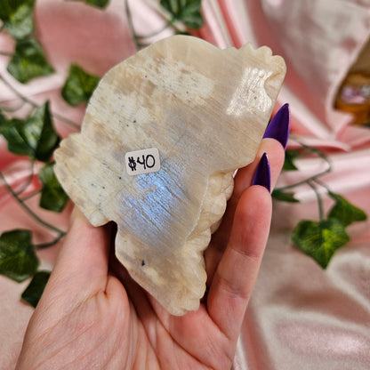 Moonstone money toad