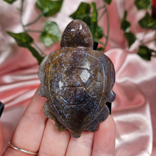Ocean jasper turtle