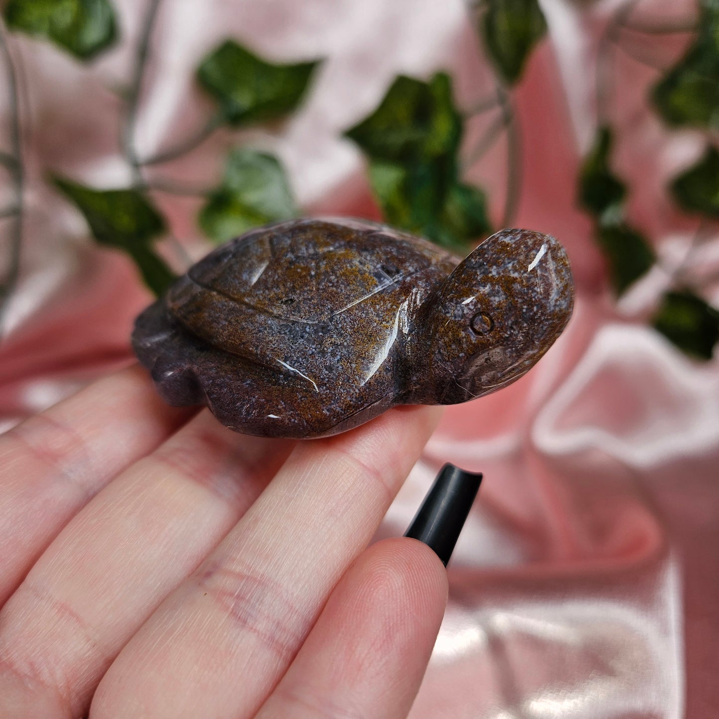 Ocean jasper turtle