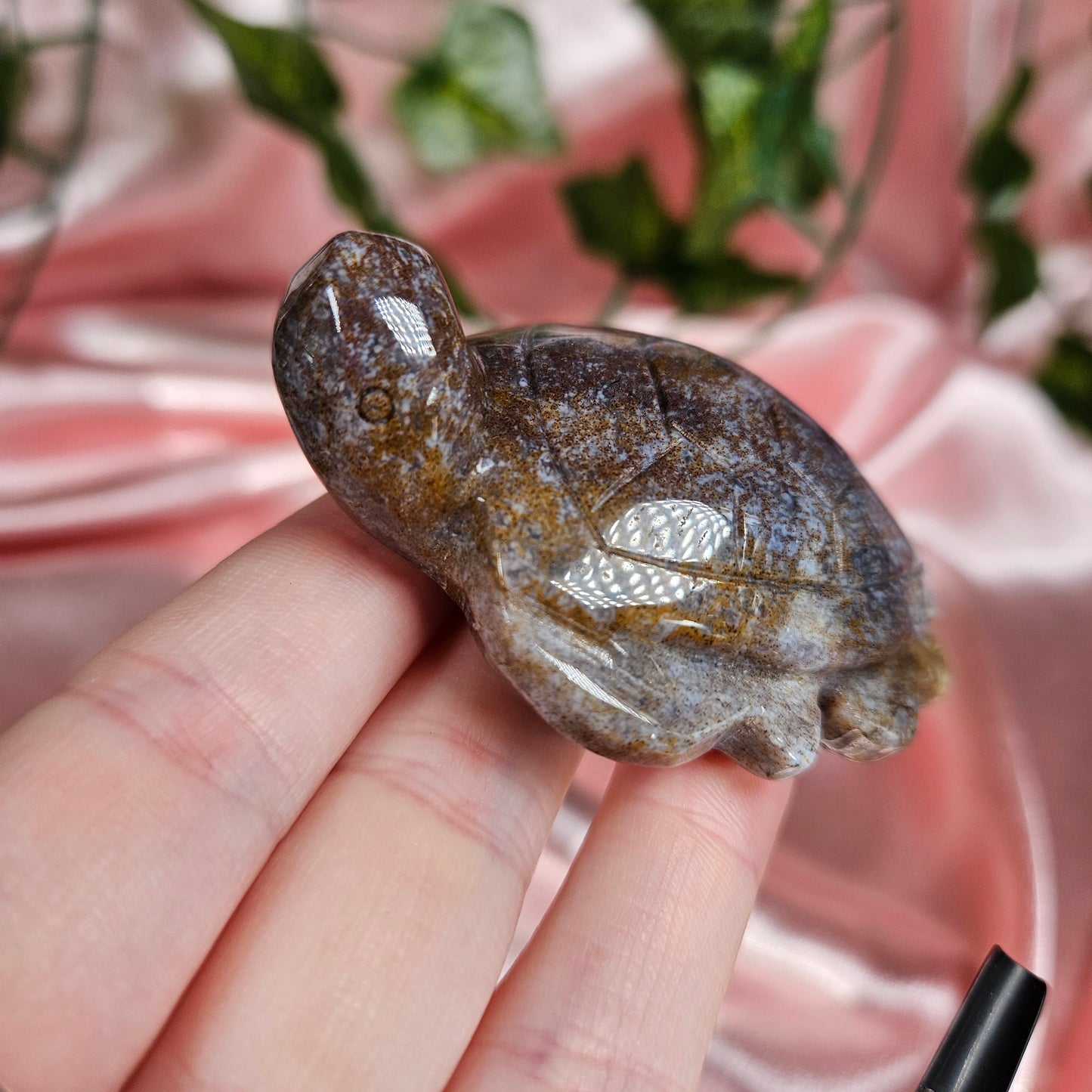 Ocean jasper turtle