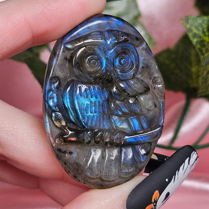 Labradorite owl