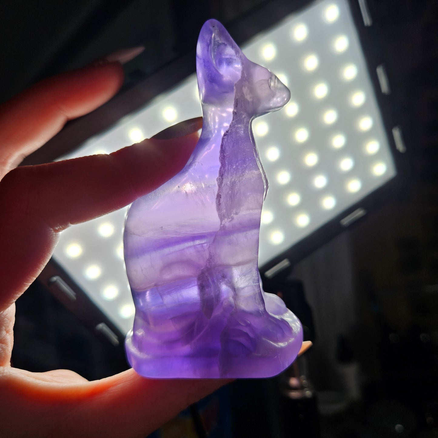 Fluorite sphinx cat