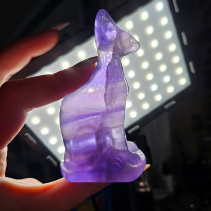 Fluorite sphinx cat