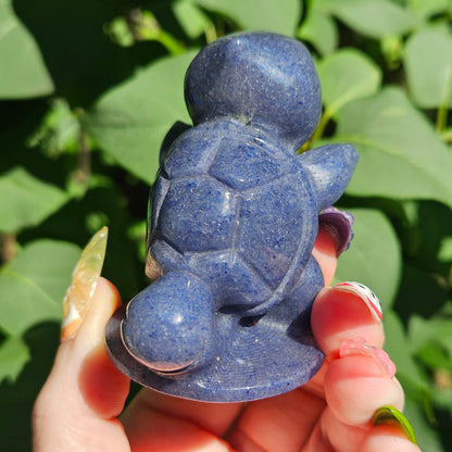 Blue adventrine squirtle