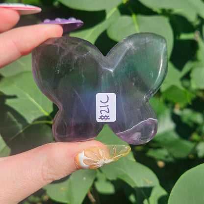 Fluorite 3D butterfly