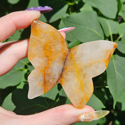 Golden healer 3D butterfly