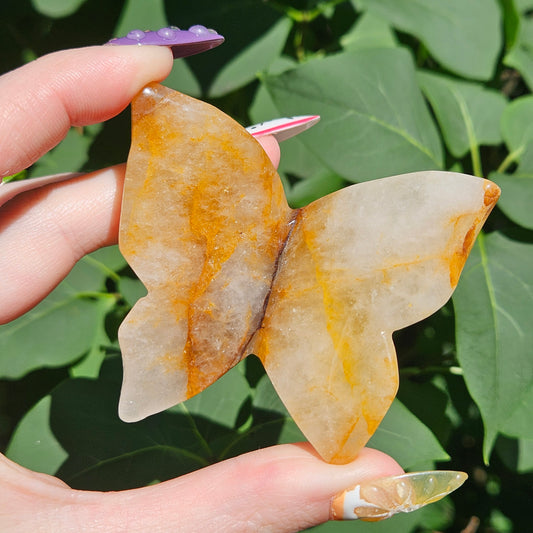 Golden healer 3D butterfly