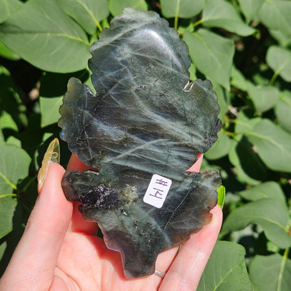 Labradorite leaf
