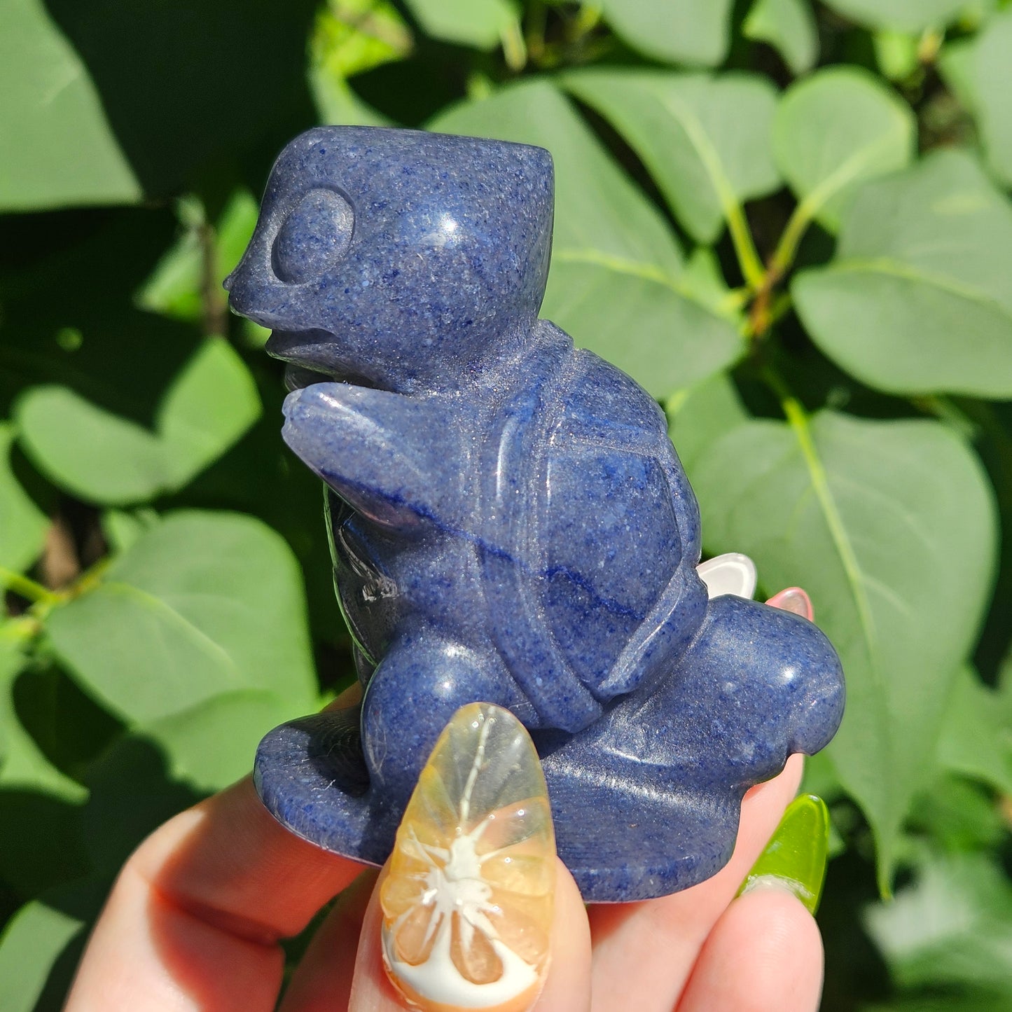 Blue adventrine squirtle